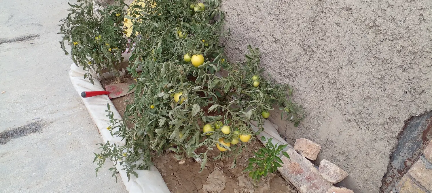 خانه فروشی کرهرود خیابان گلها