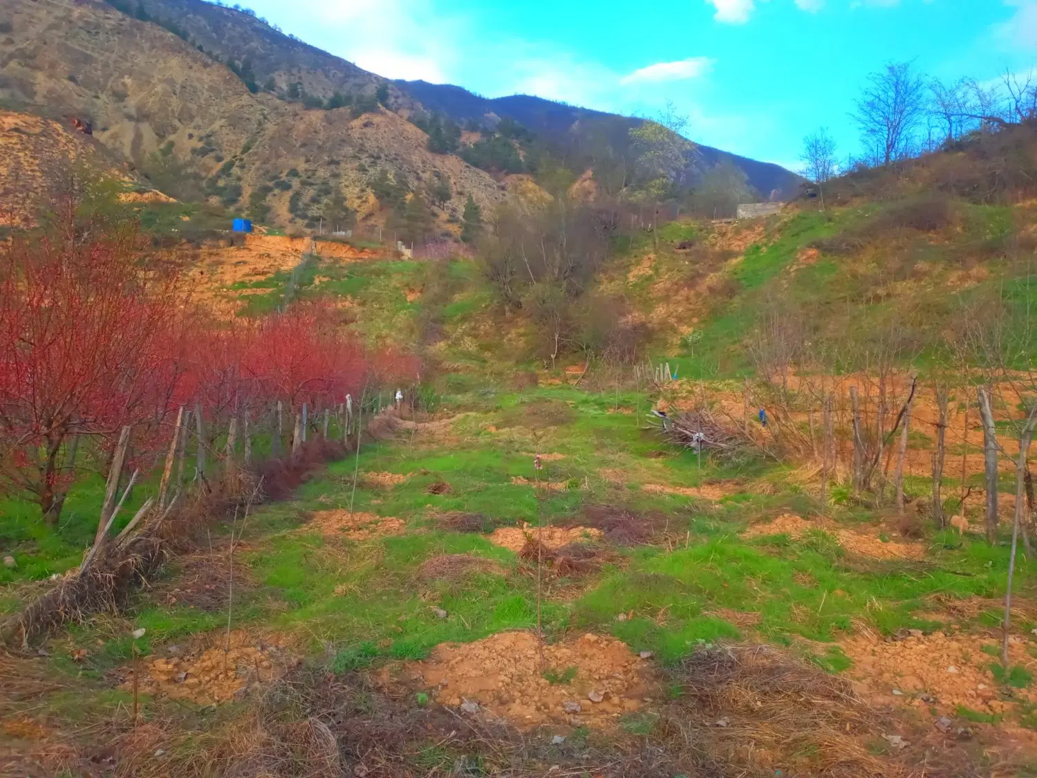 زمین کشاورزی  در شمال  کجور  با آب