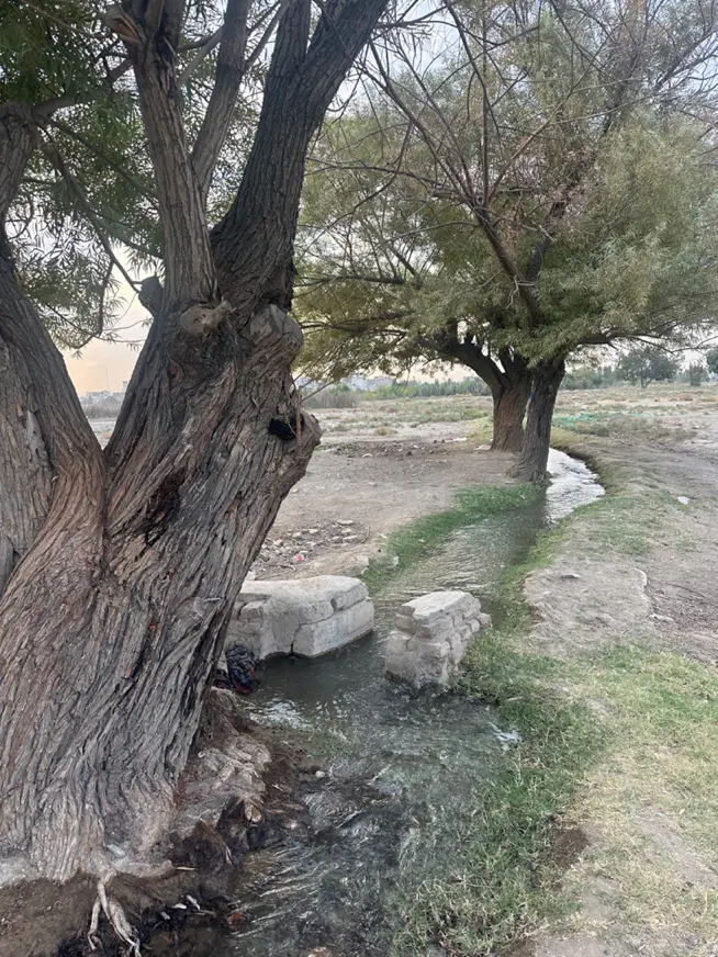 فروش باغچه و زمین کشاورزی