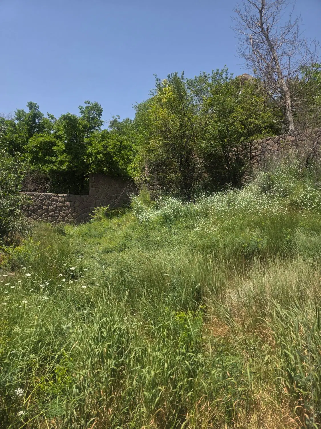 زمین ویلایی