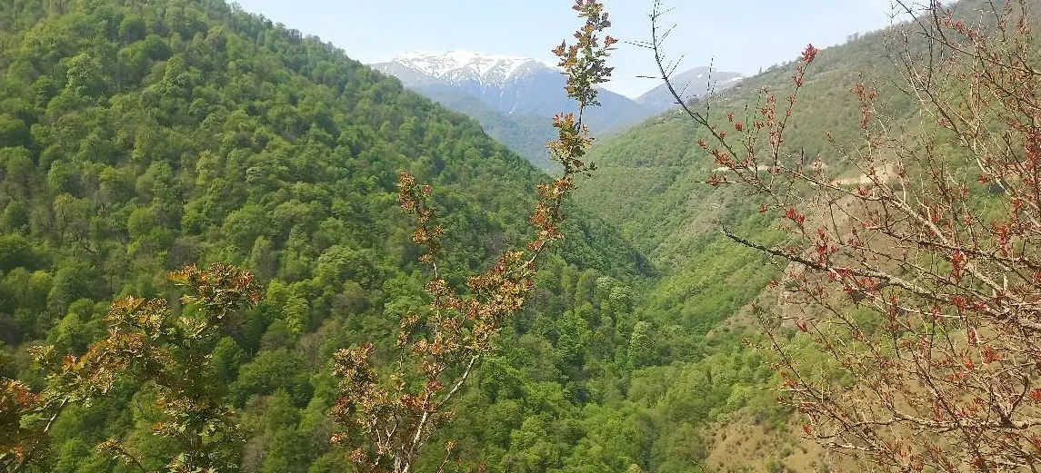 زمین مسکونی فروشی
