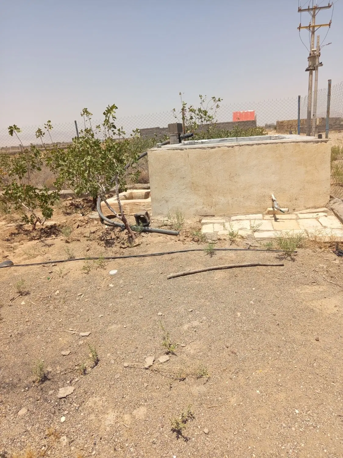 باغ پسته بارده