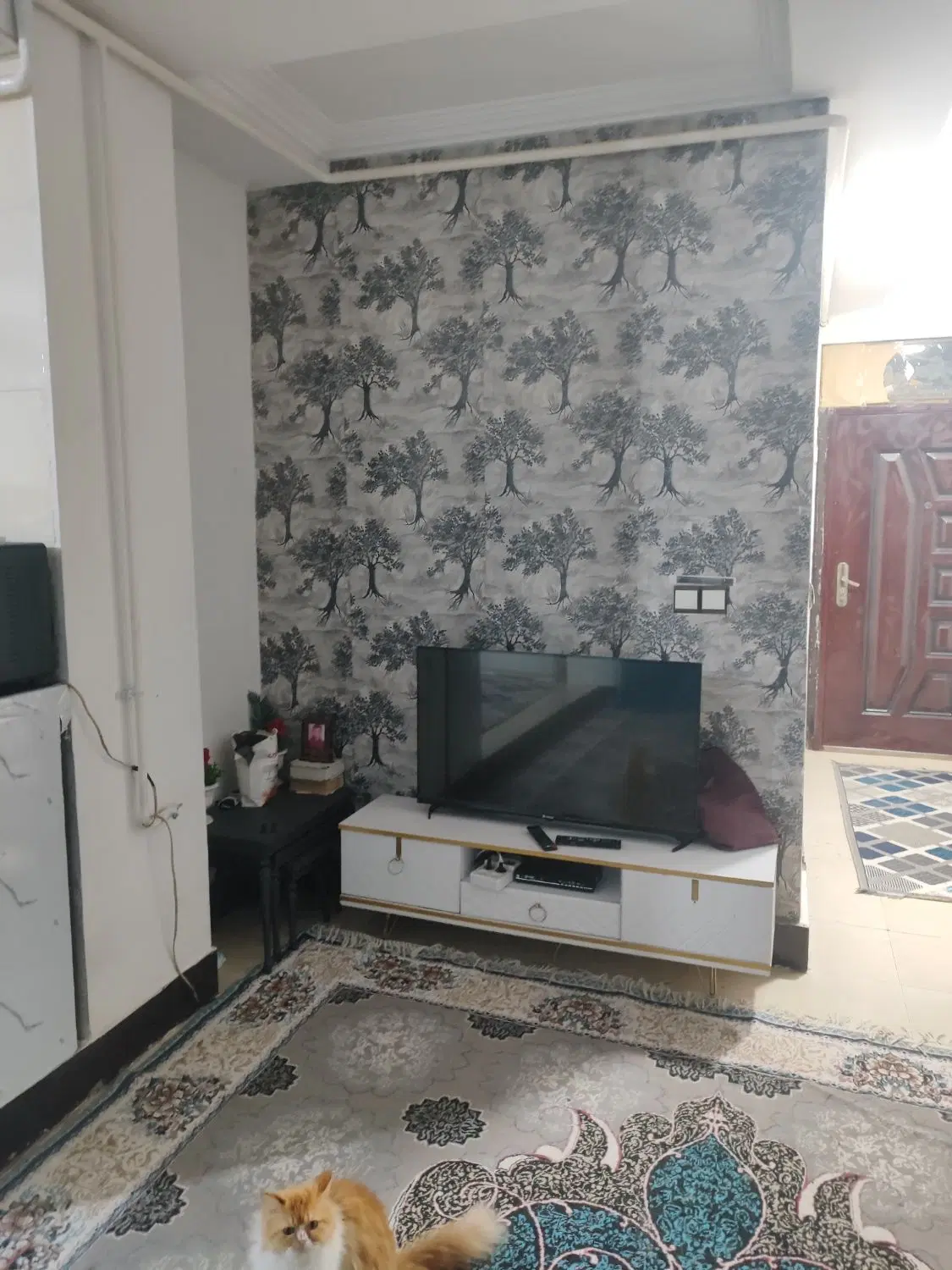 آپارتمان مسکن ساحلی