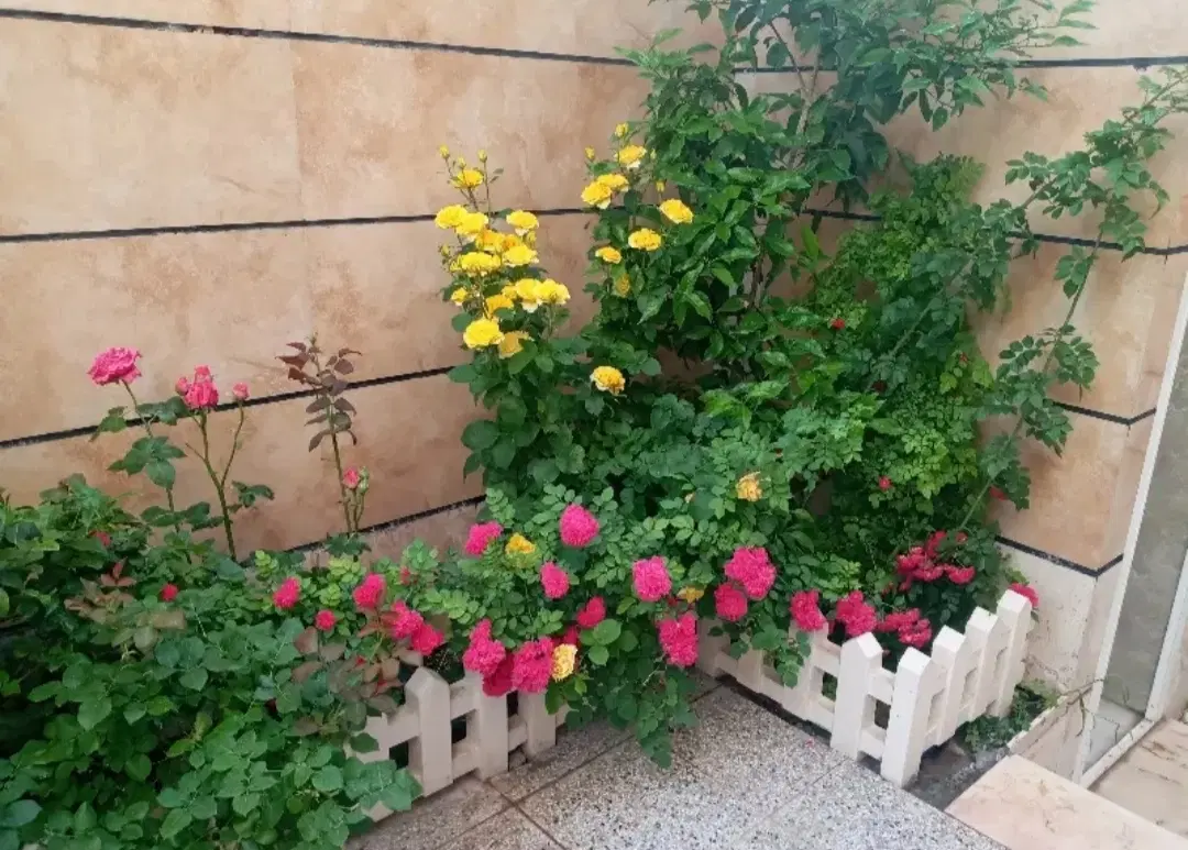سوئیت اجاره