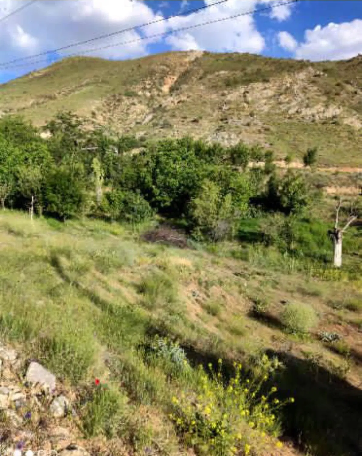۴۰۰متر زمین لواسان بزرگ هوشیاره