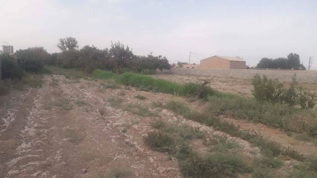 زمین و باغ ۵۰۰۰ متری