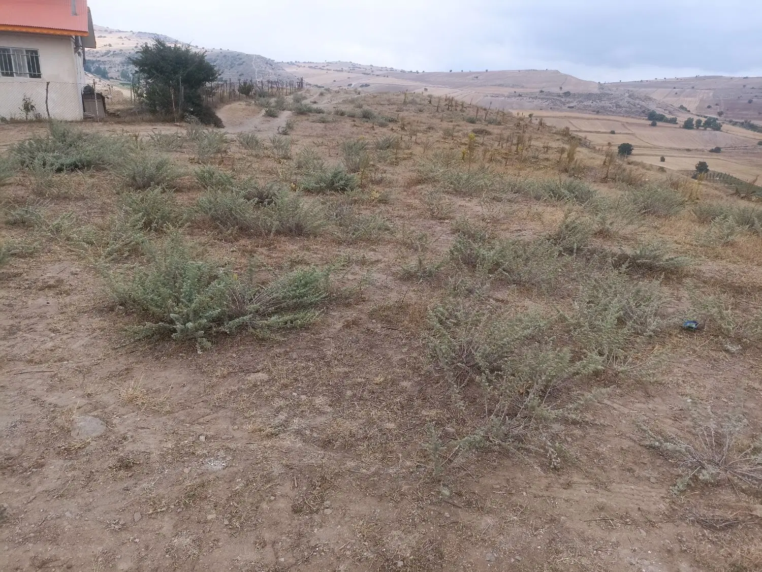 زمین مسکونی