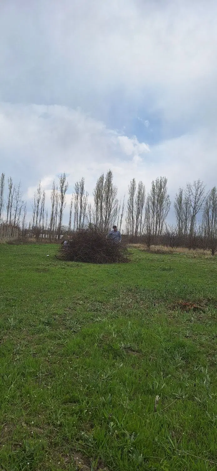 فروش ۸۰۰ متر زمین باغی امامزاده