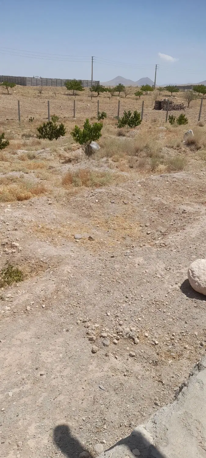 زمین کشاورزی