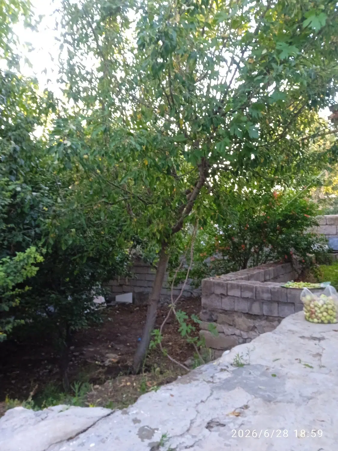 خانه ویلایی دو خوابه