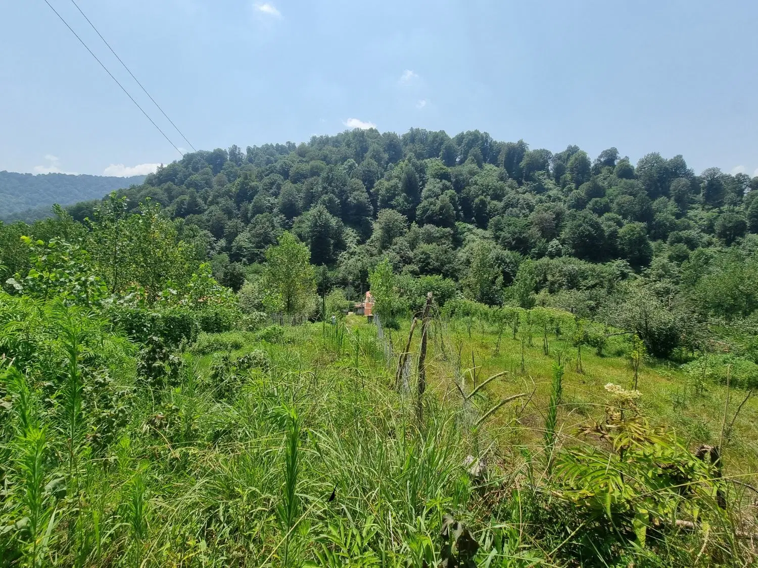زمین ویلایی کوپایه