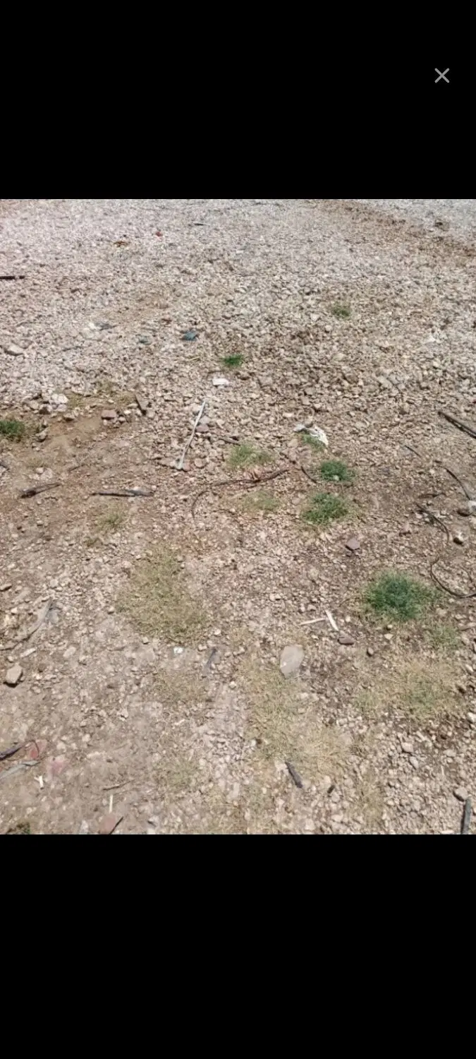 زمین فروشی  پاسداران ۸