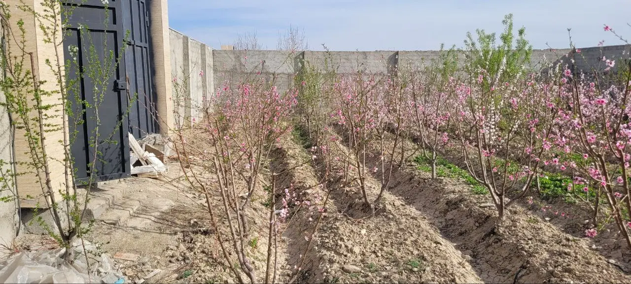 فروش باغ