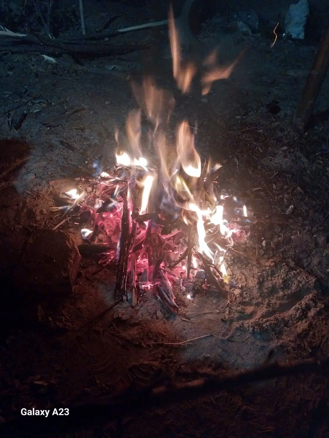 باغ ۹۵۰ متری نقش رستم مرودشت حسین آباد