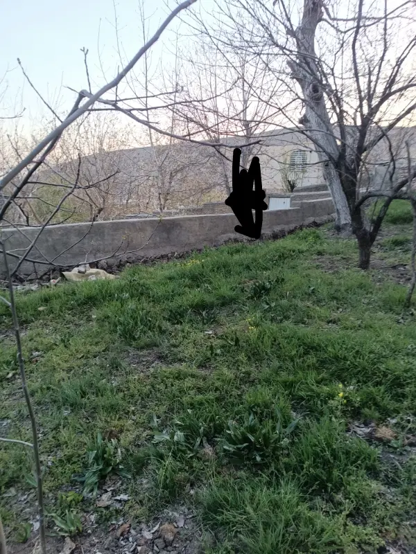 باغ در فشند در ده