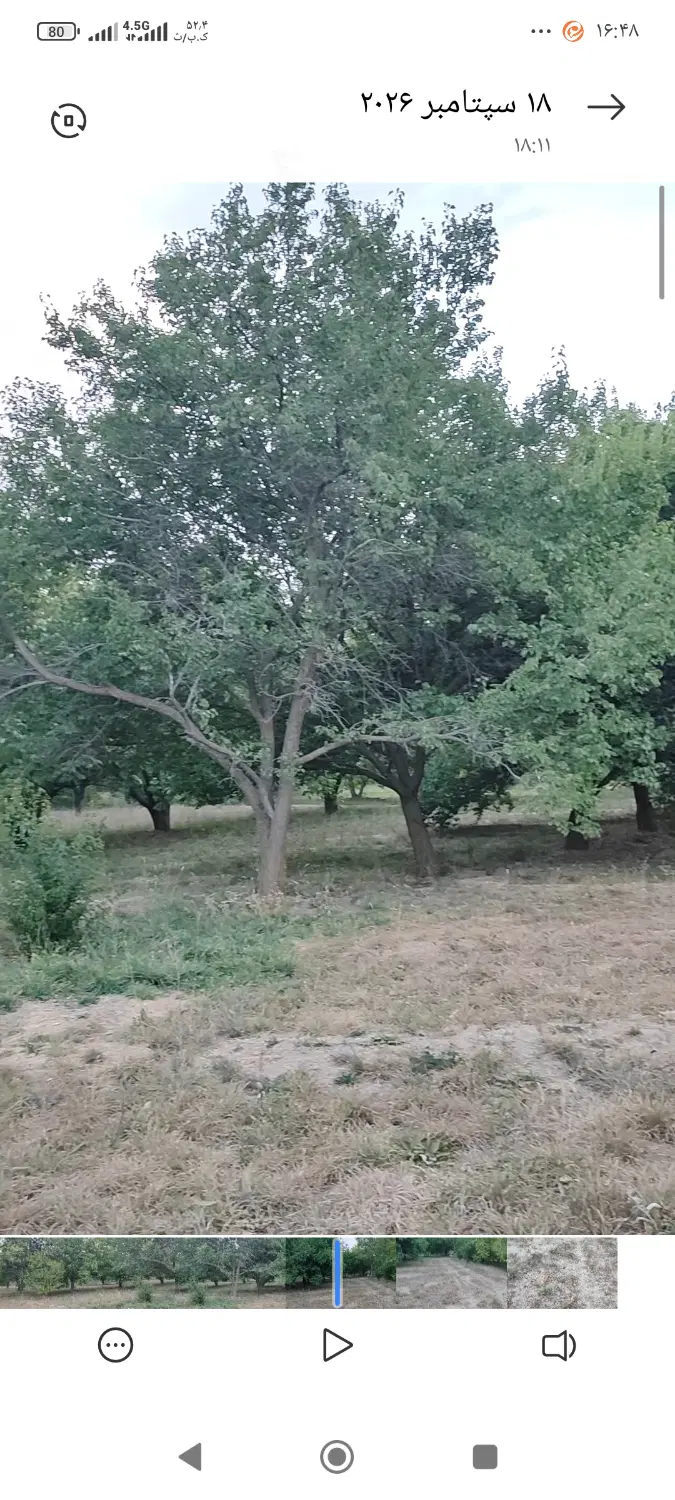 فروش باغ