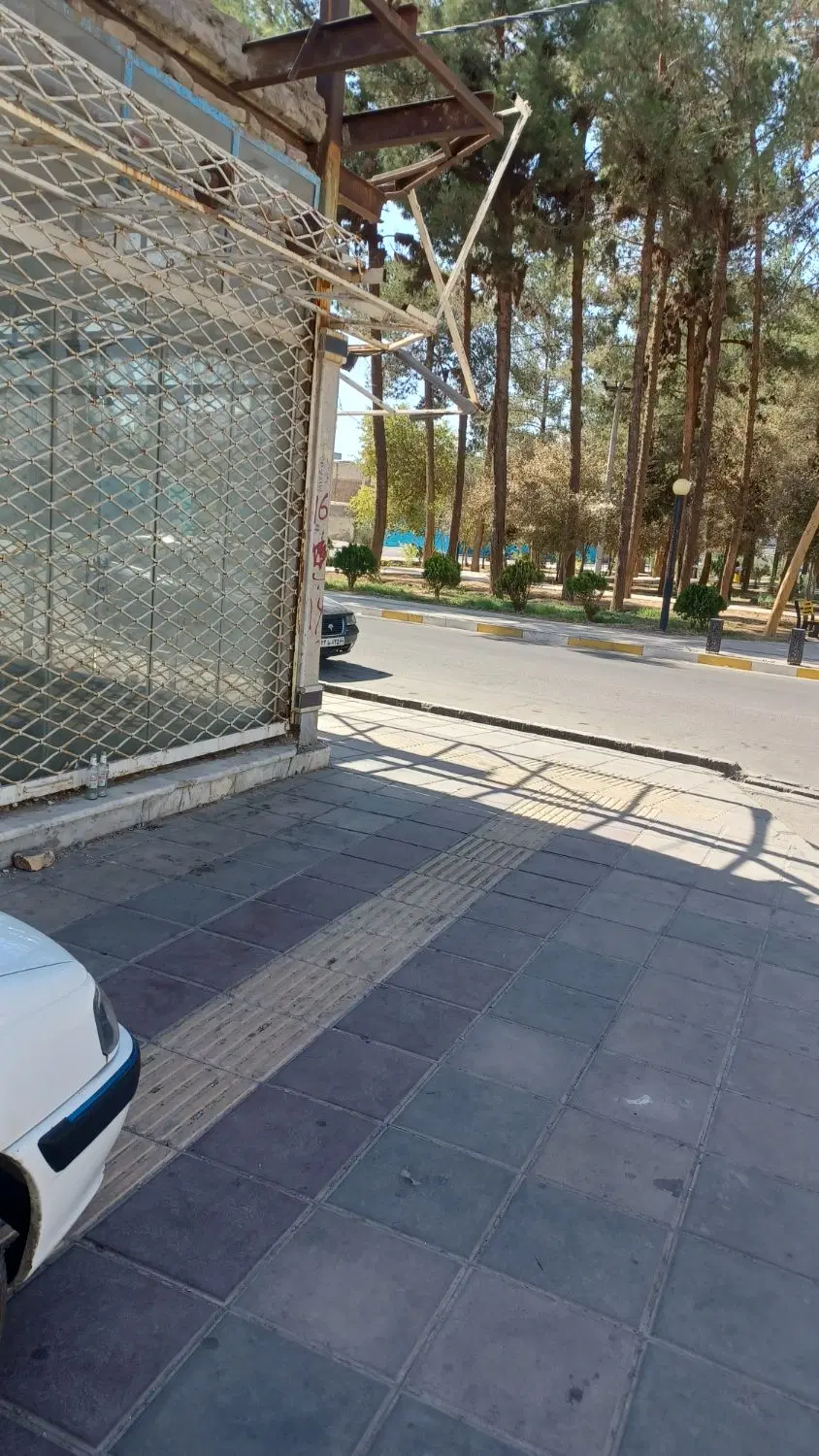 مغازه تجاری میدان فلسطین