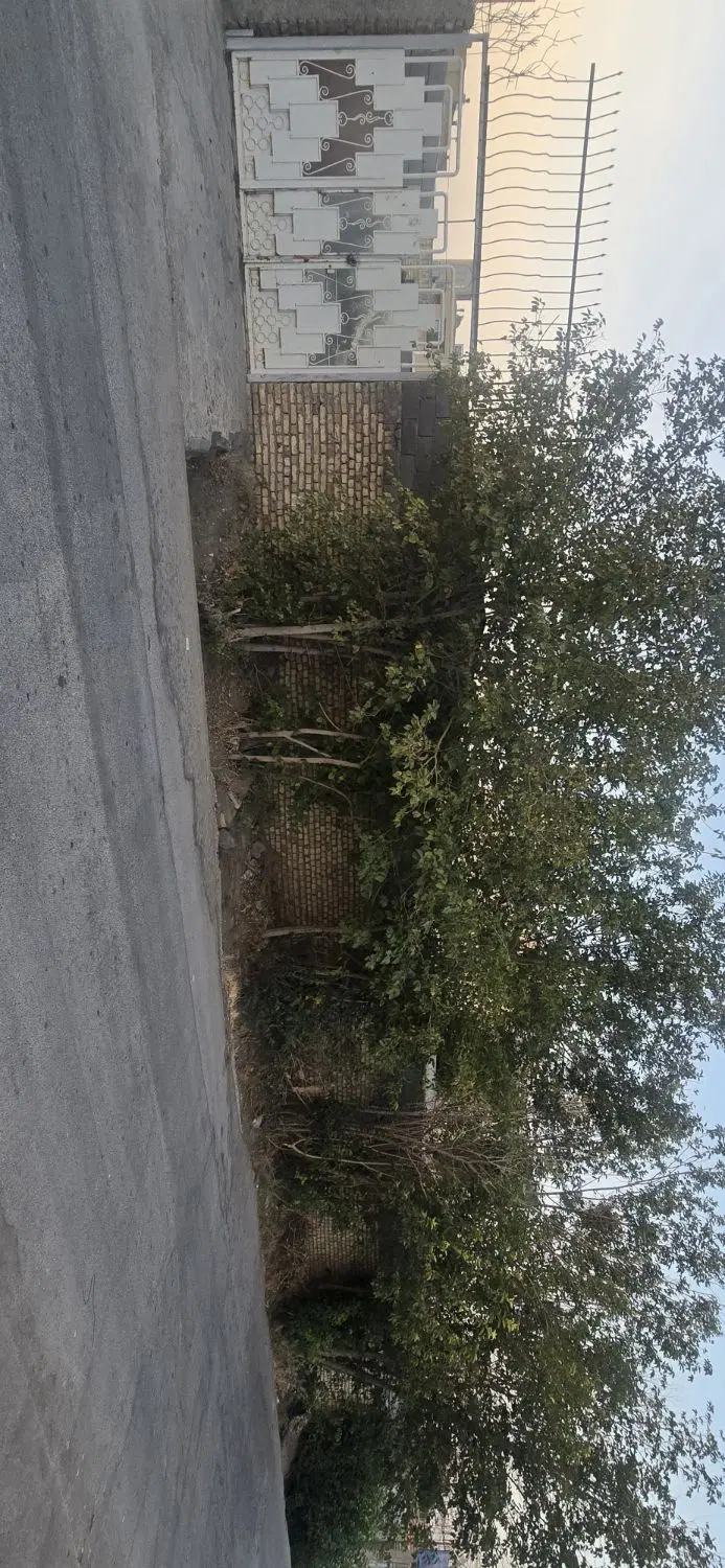 زمین مسکونی باغی