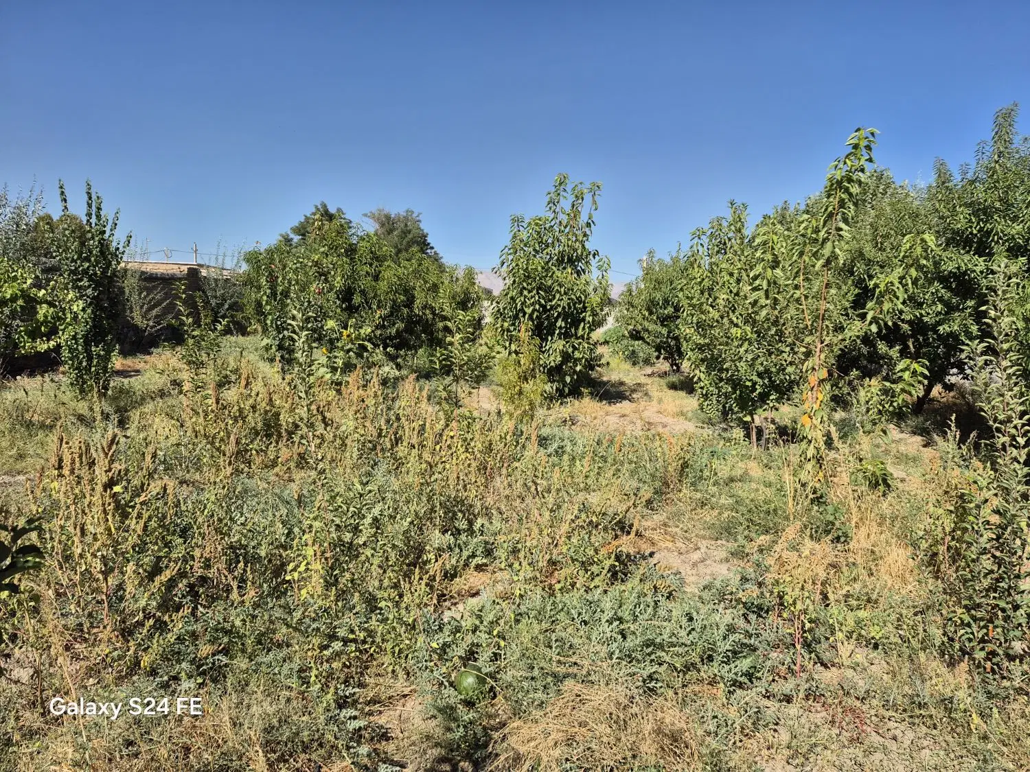 زمین ویلایی با سند ۶ دانگ