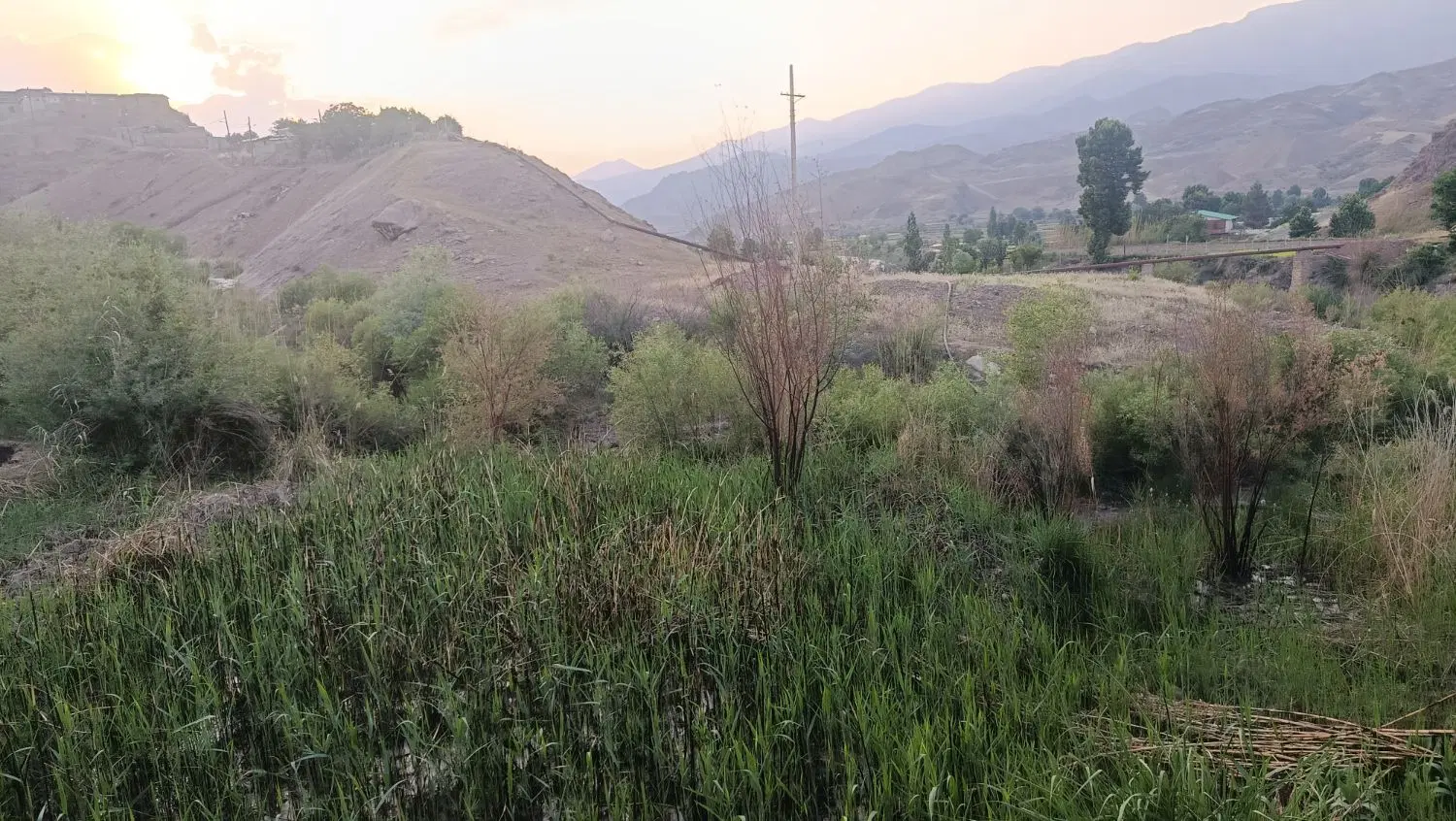 زمین باورس