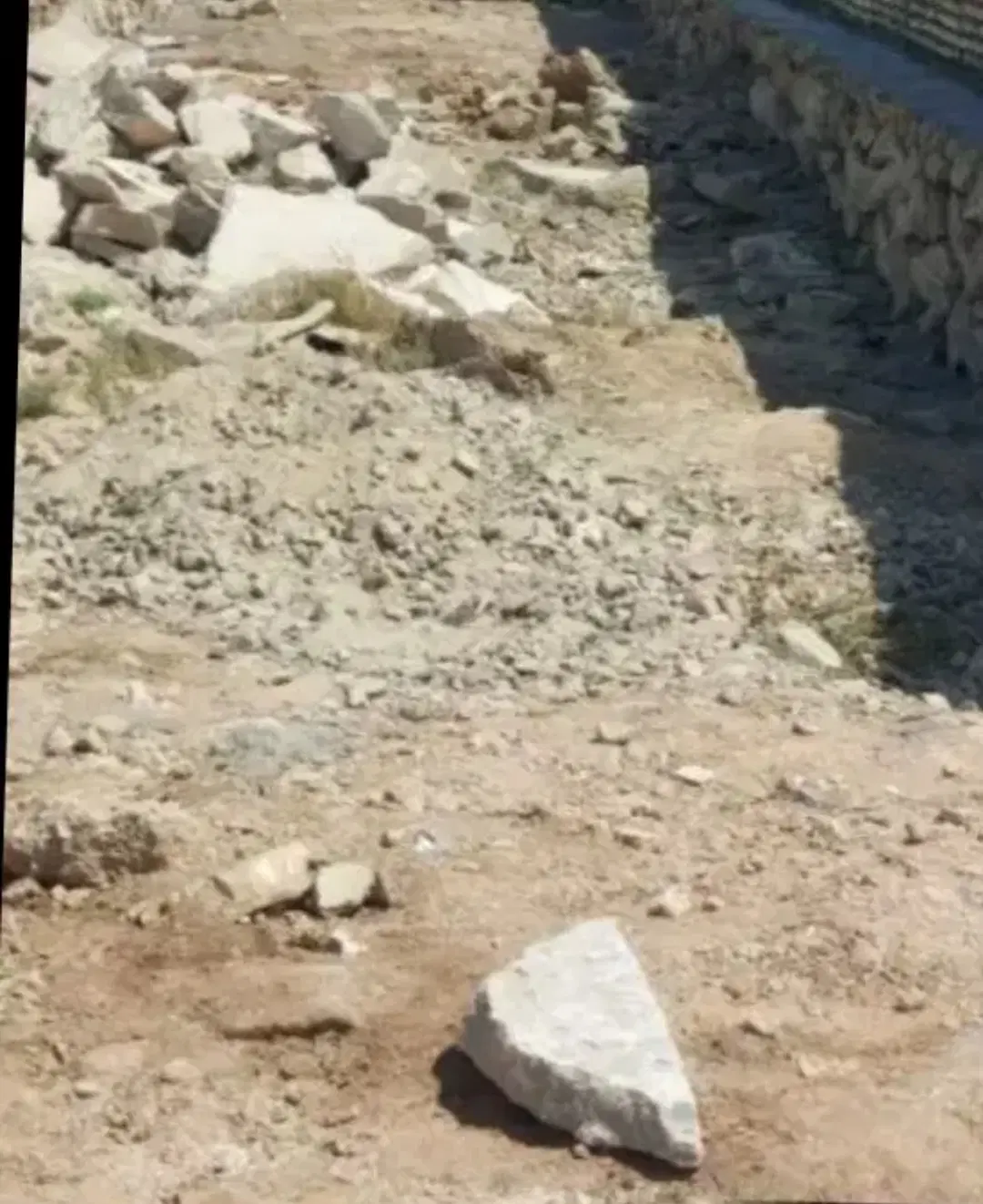 زمین ۲۵۰متر