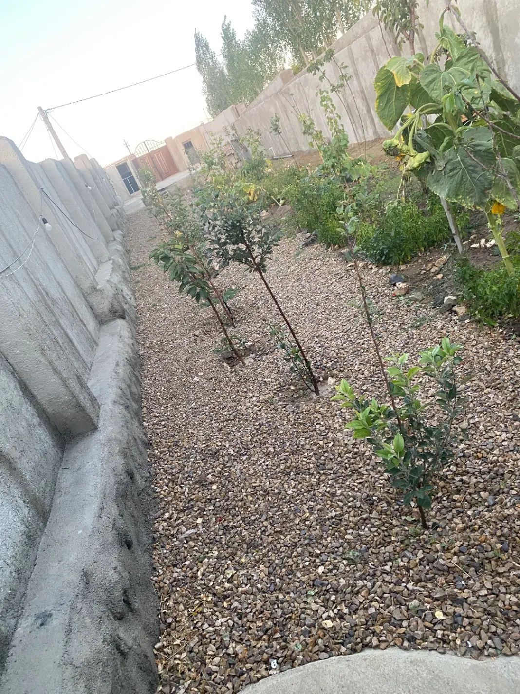 باغ ویلا در روستای پیله رود نمین