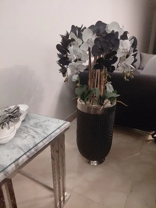 اپارتمان