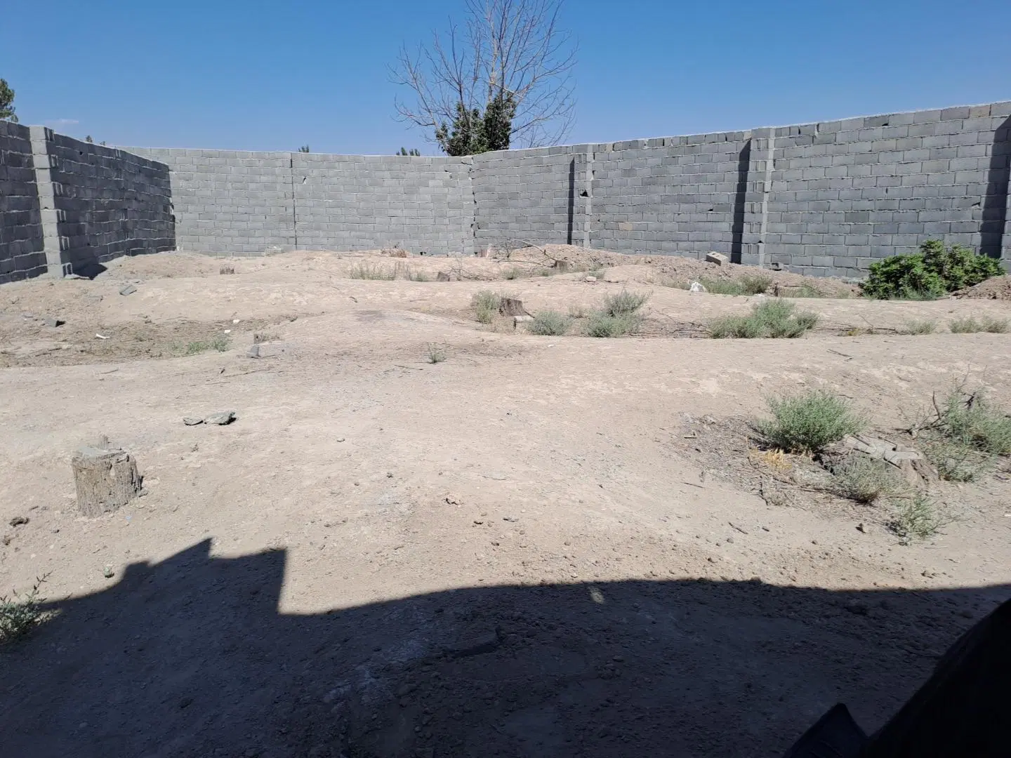 فروشنده بکه همای رحمت