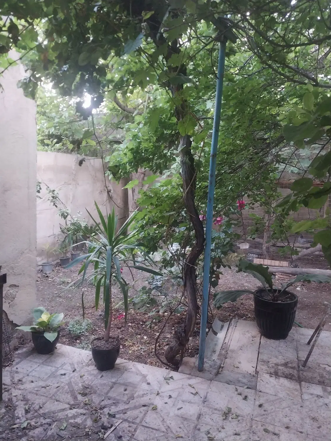 ویلایی ۳۵۰ متری
