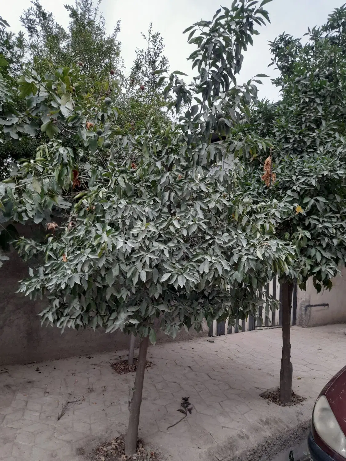 خانه ویلایی نوده ملک