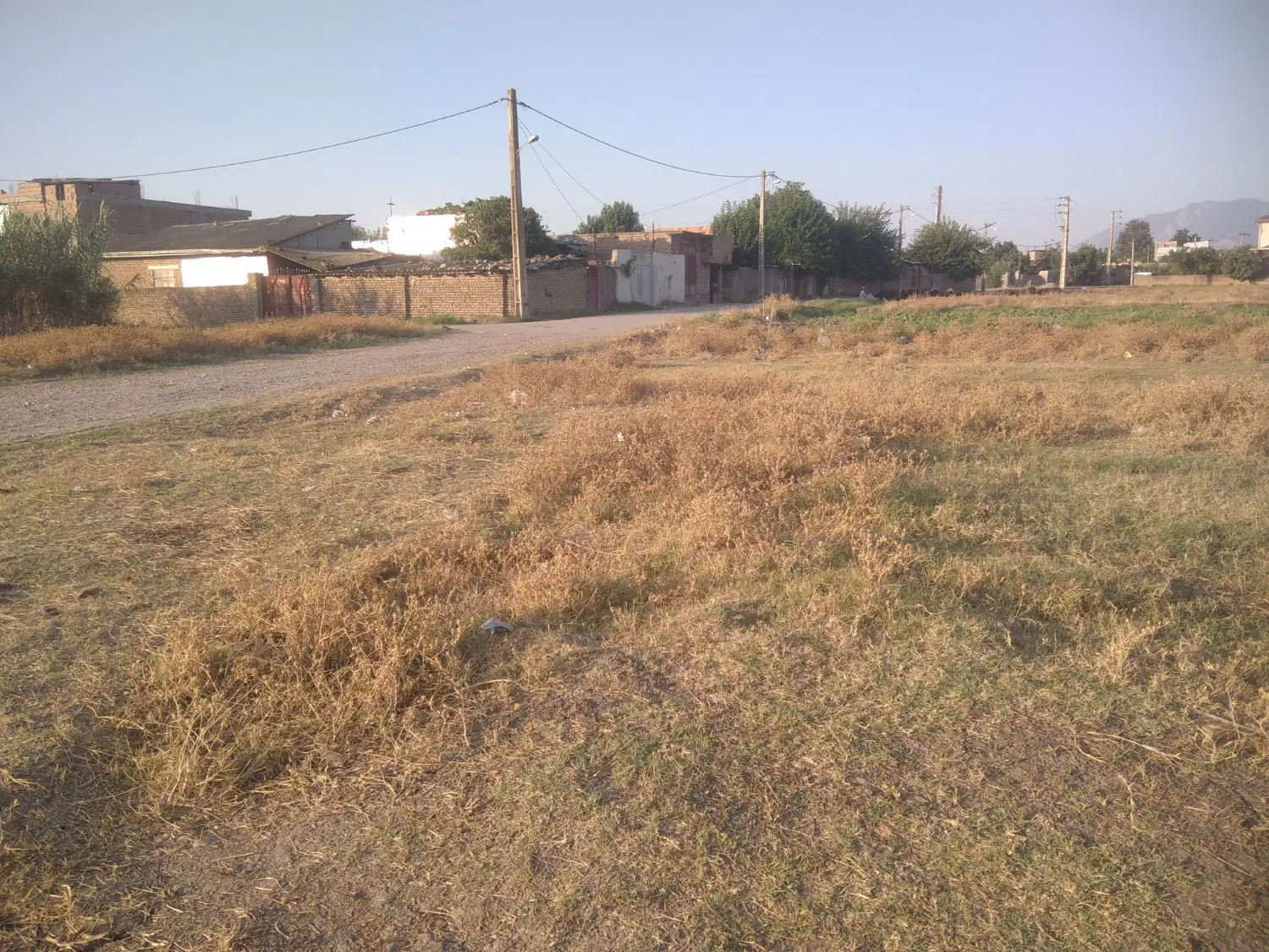 زمین