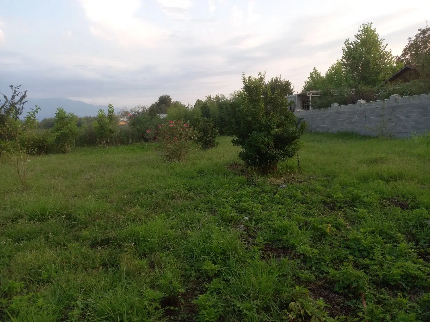 زمین مسکونی قاضیان رشت