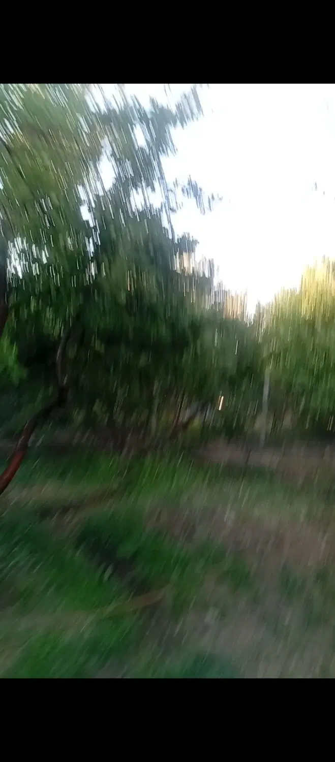 باغ زیبا و سرسبز
