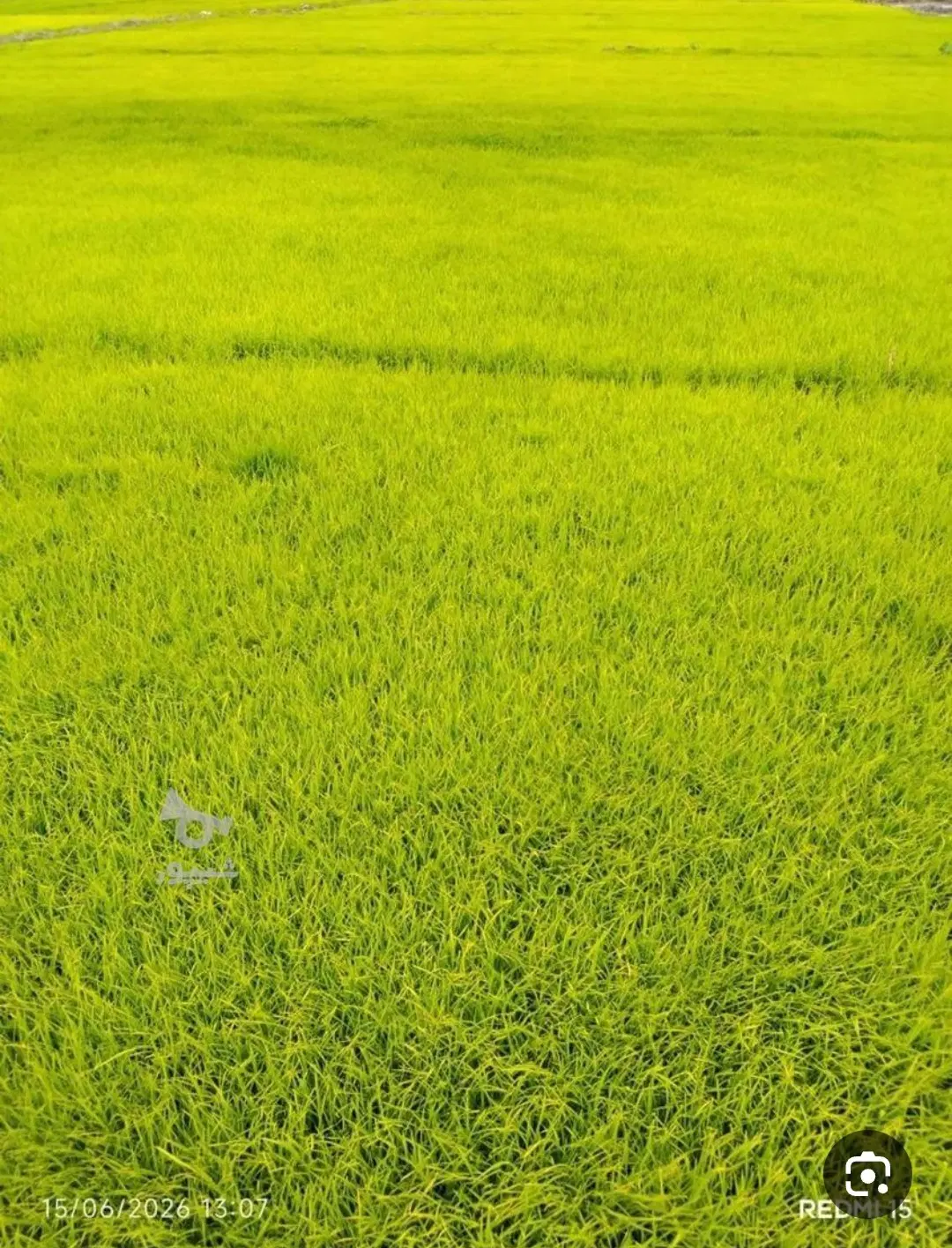 یک قطعه زمین در برگشاد