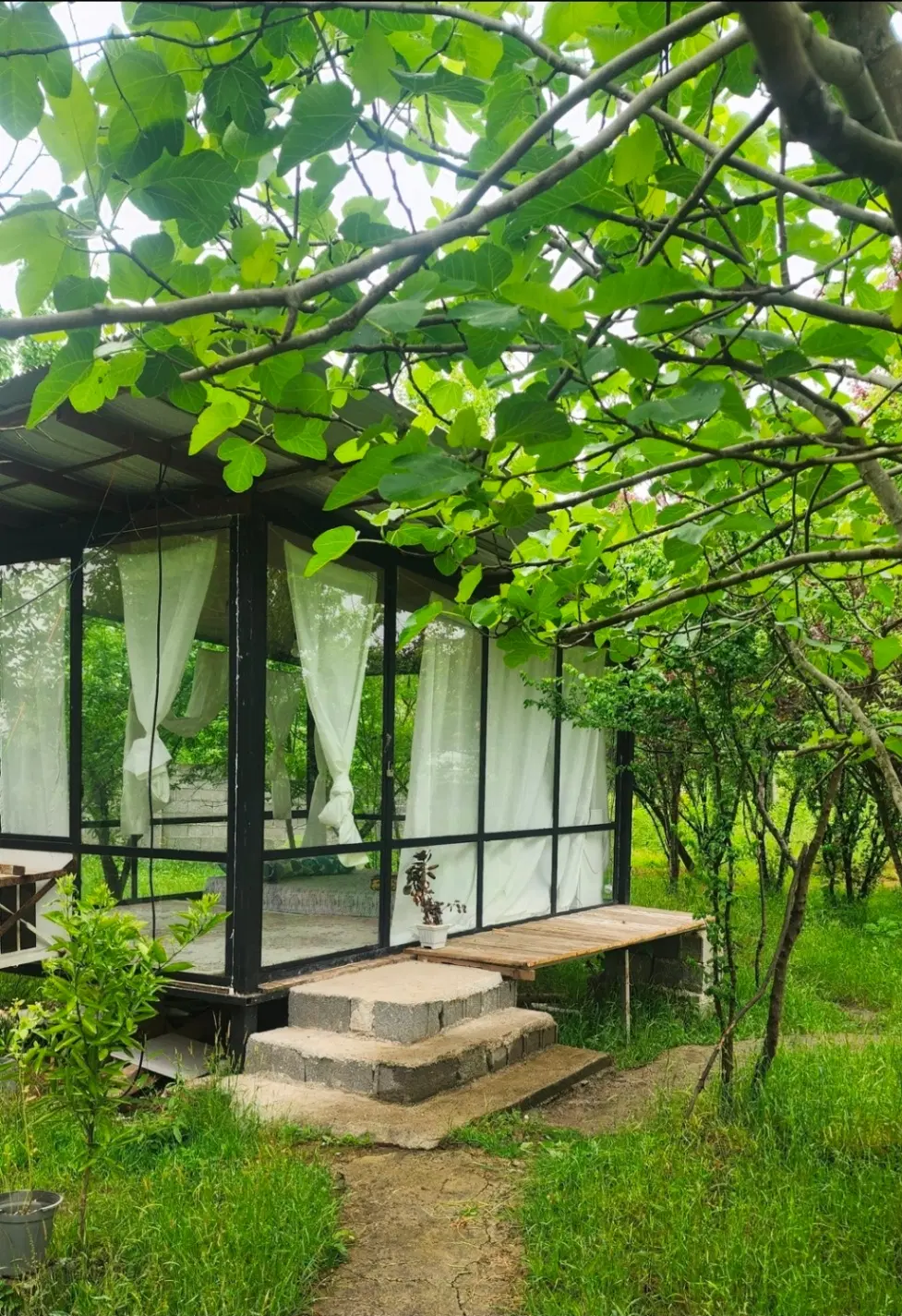 باغ با کلبه شیشه ای - رشت
