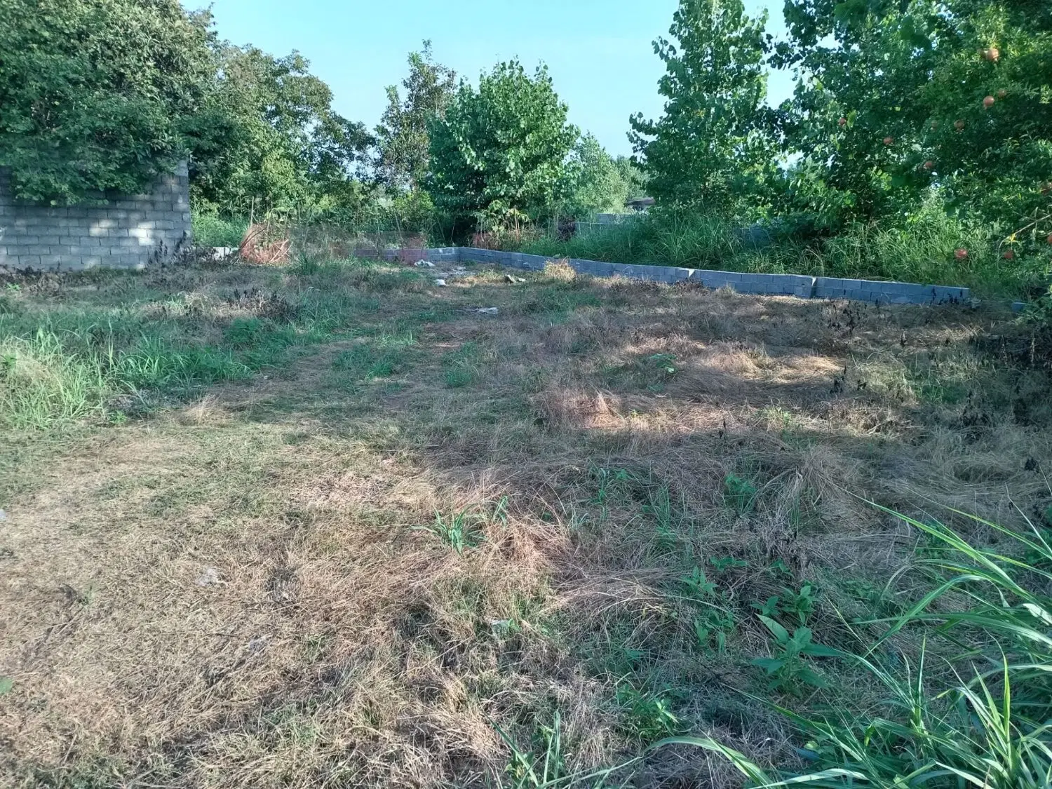 زمین مسکونی دهکده ساحلی لیچاه