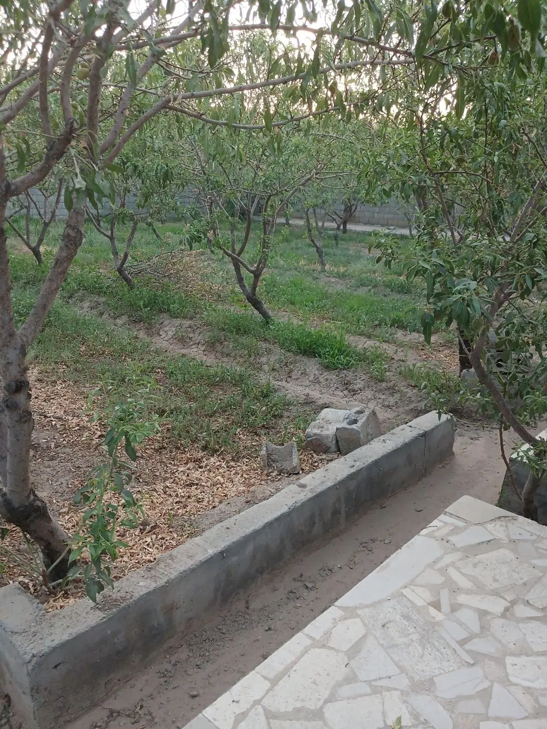 باغ ۵۰۰ متری