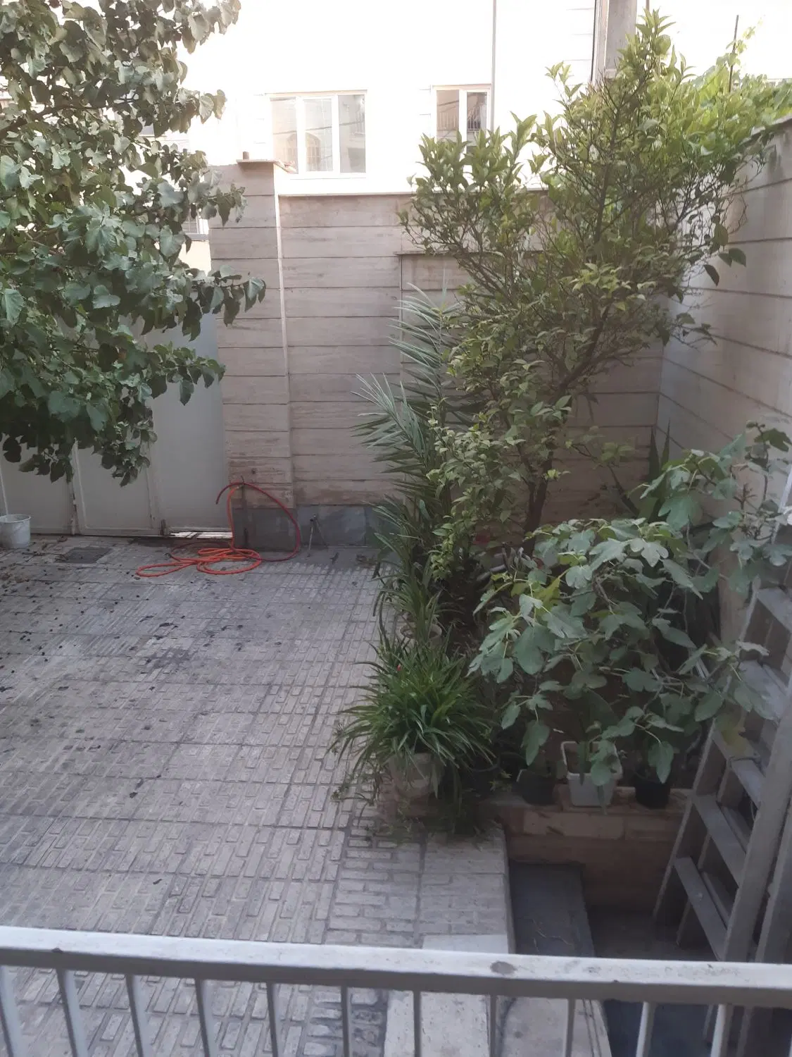 واحد دنج وراحت