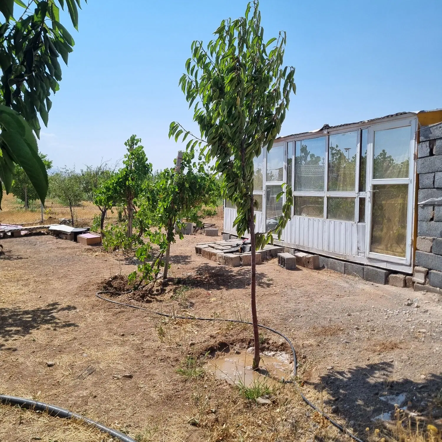 فروش باغ۱۰۰۰متری درسارمساقلو
