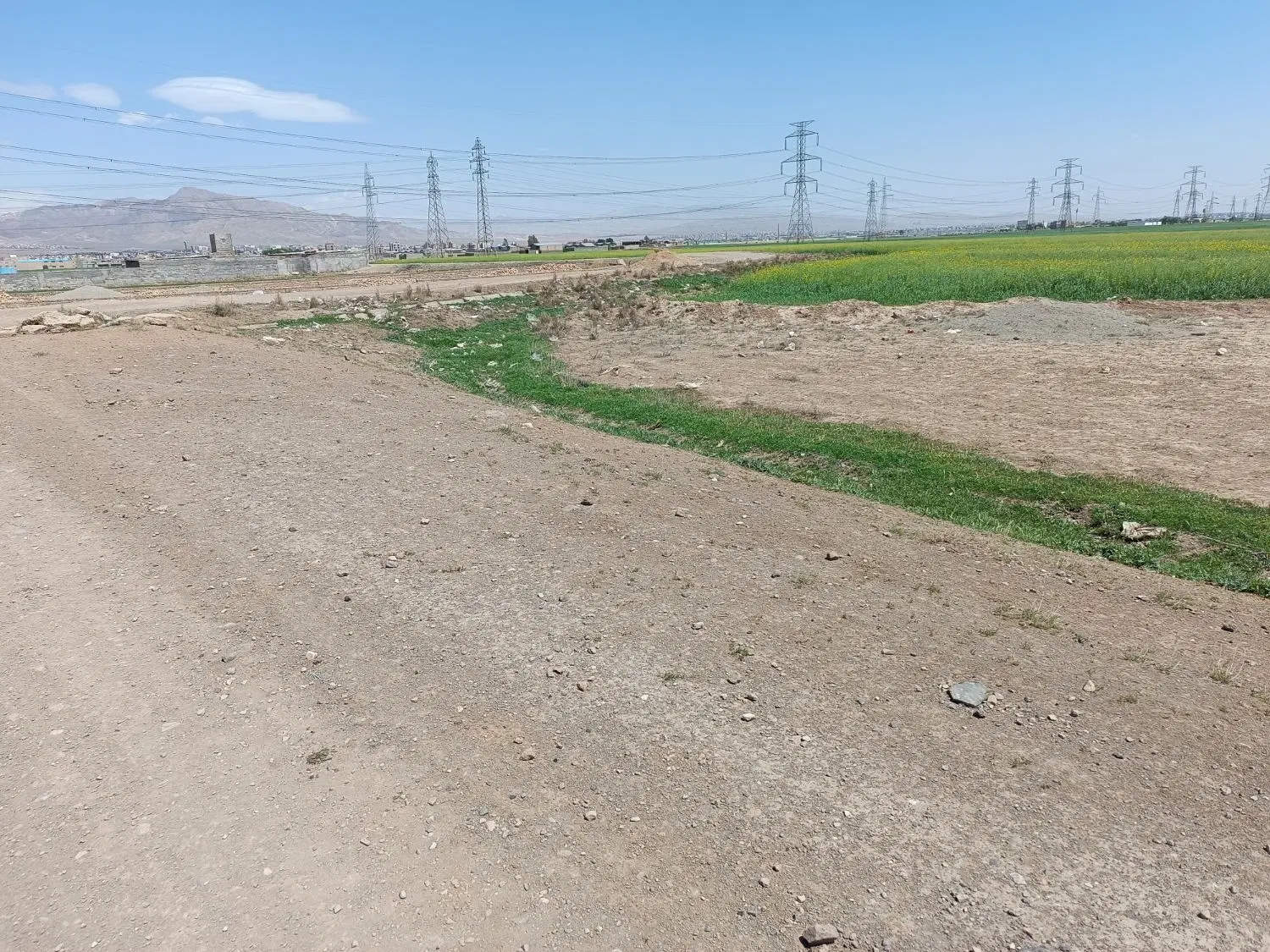 زمین با سند تک برگ