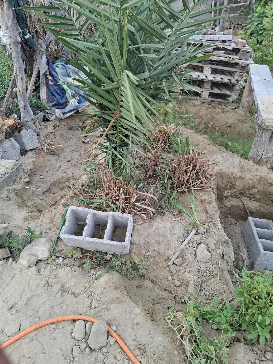 فروش زمین در روستای نوک آباد چابهار