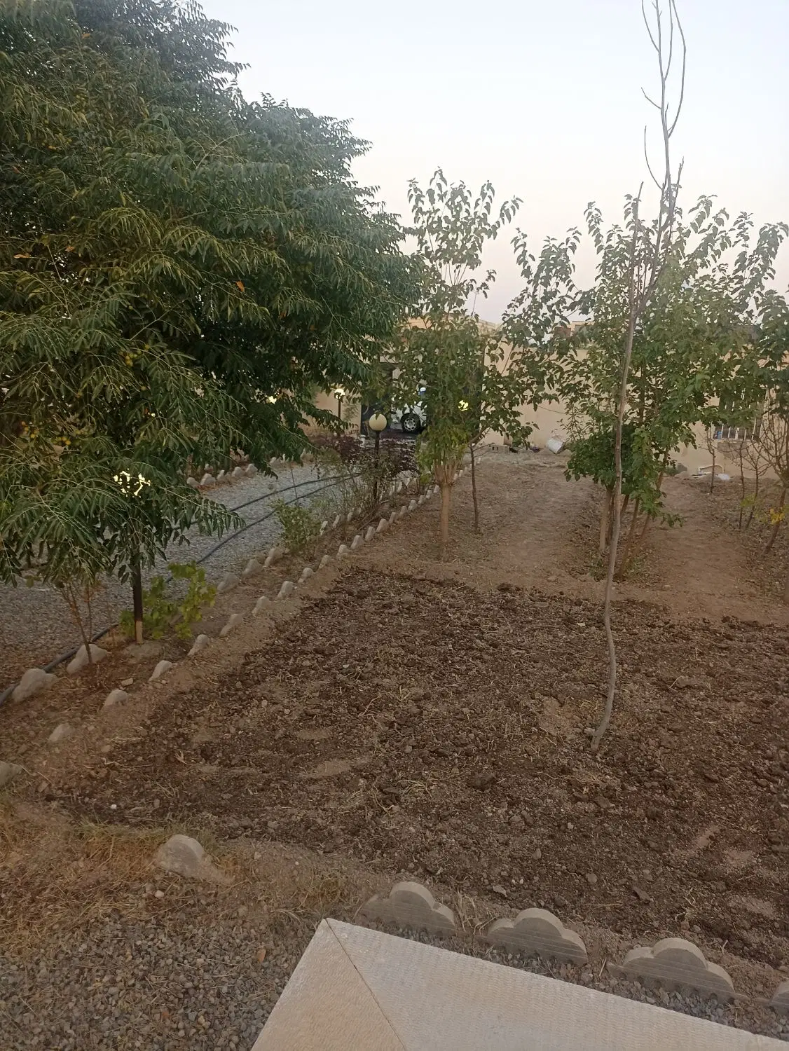 باغچه سند دار