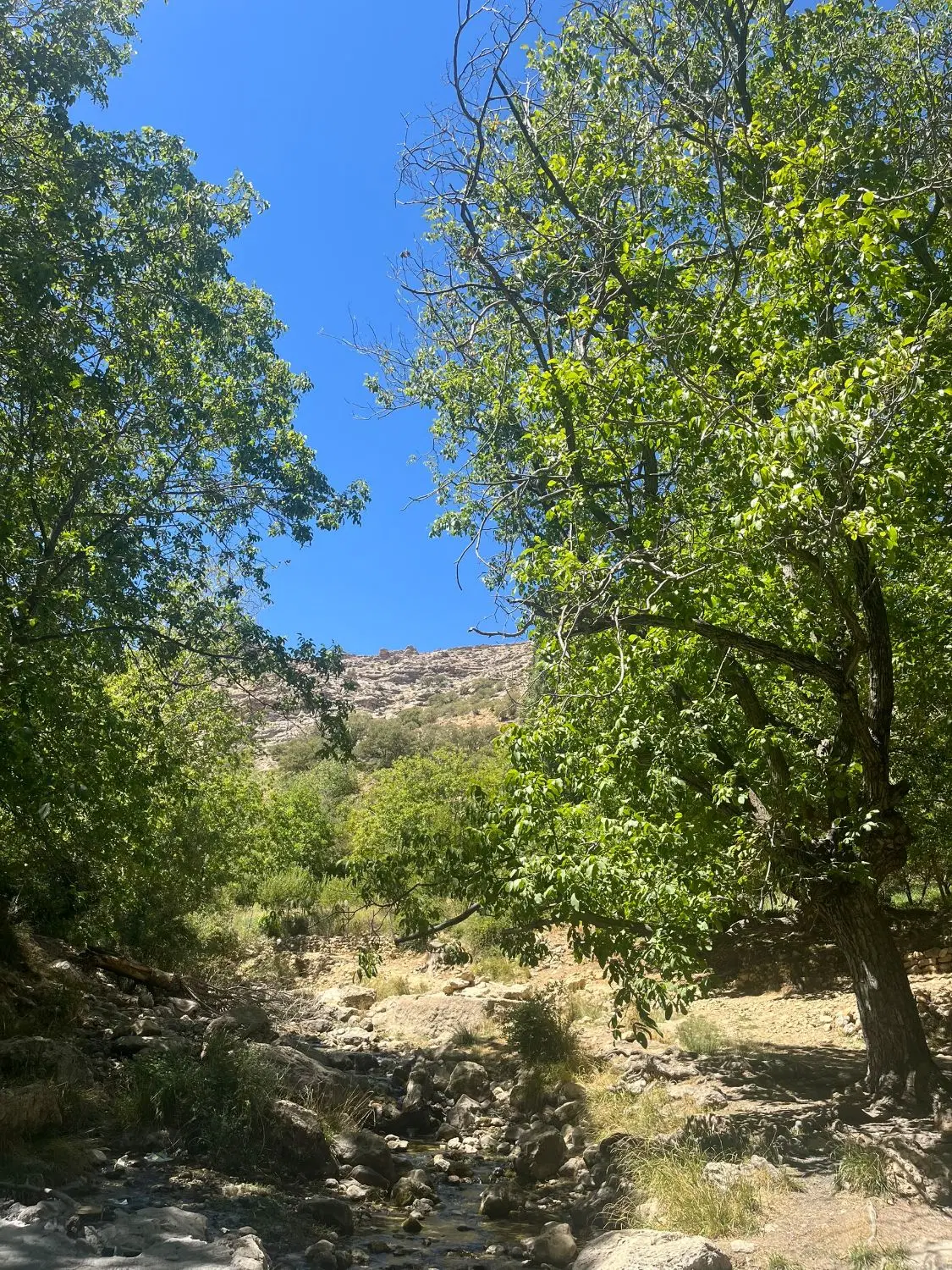 زمین خونه باغ ۵۰ قصب حصار