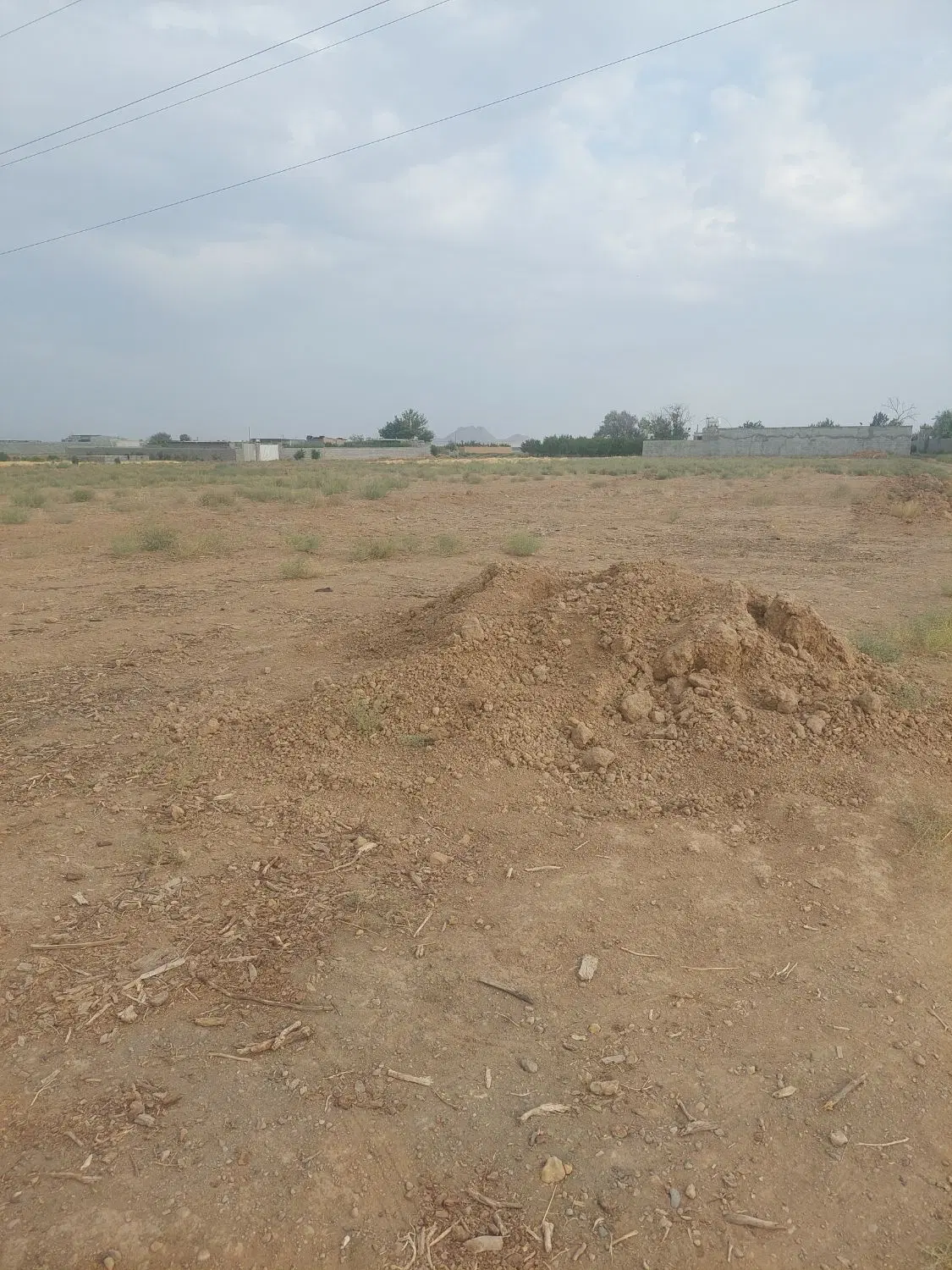زمین کشاورزی و باغی