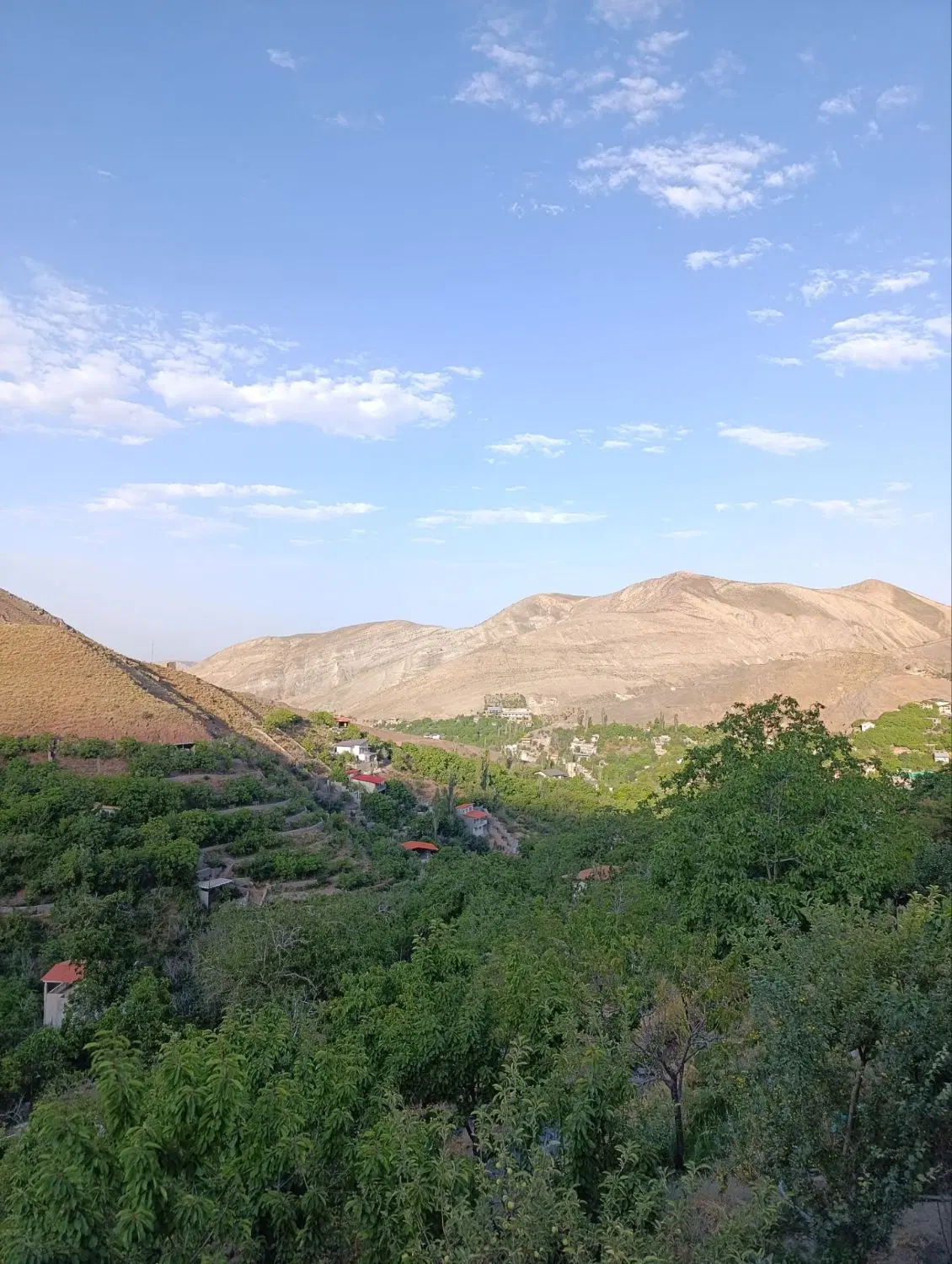 متراژ زمین از100متر به بالا در برگجهان لواسان کوچک