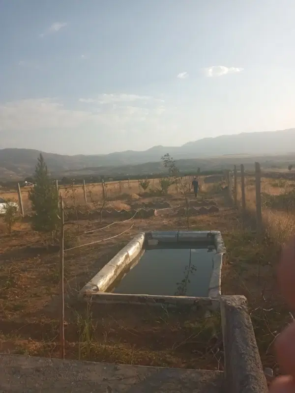 فروش باغ در ترشاب