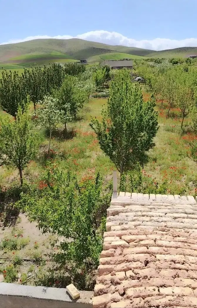 باغ 1500متری