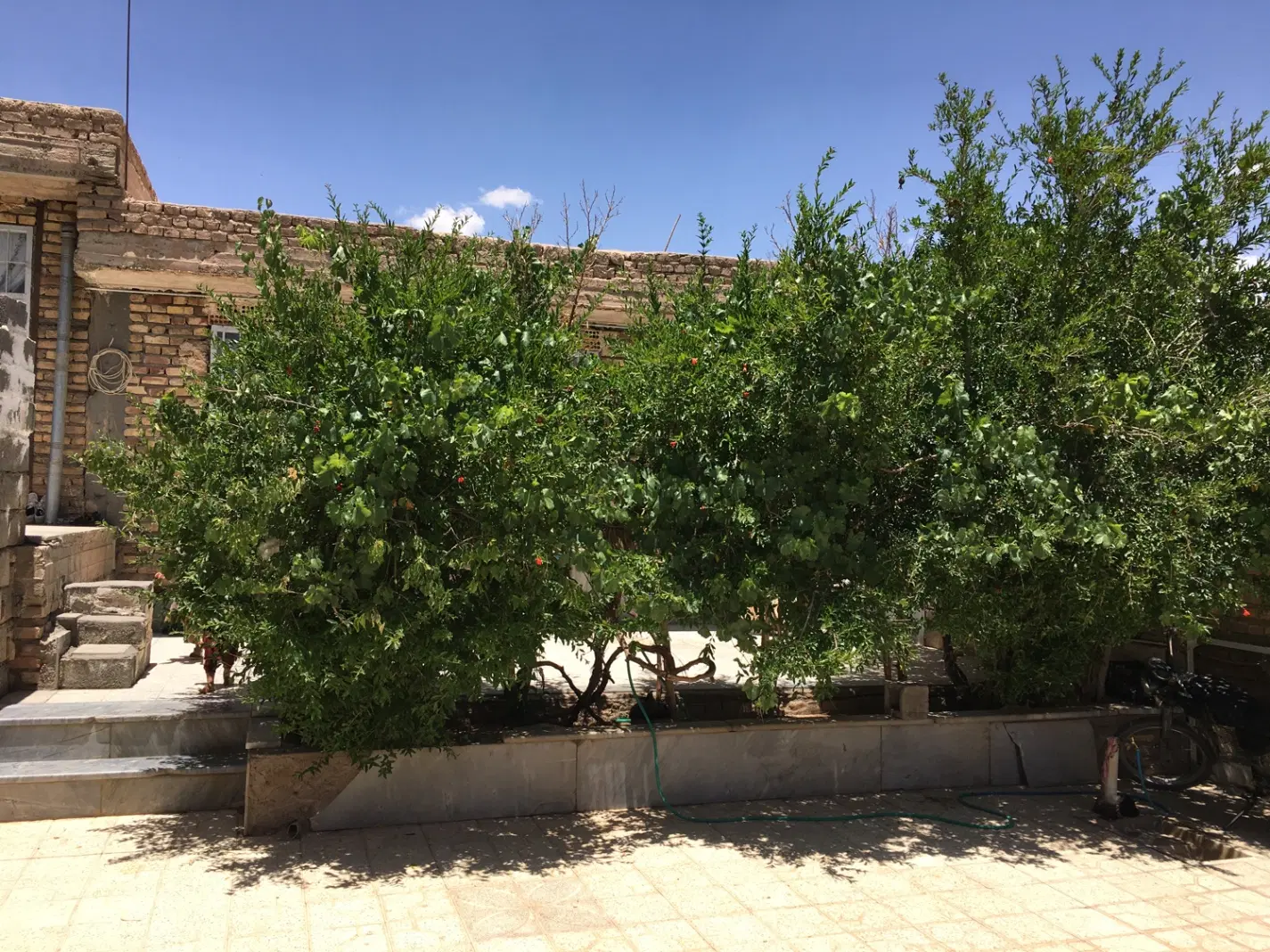 ویلایی ماهان مرکز شهر