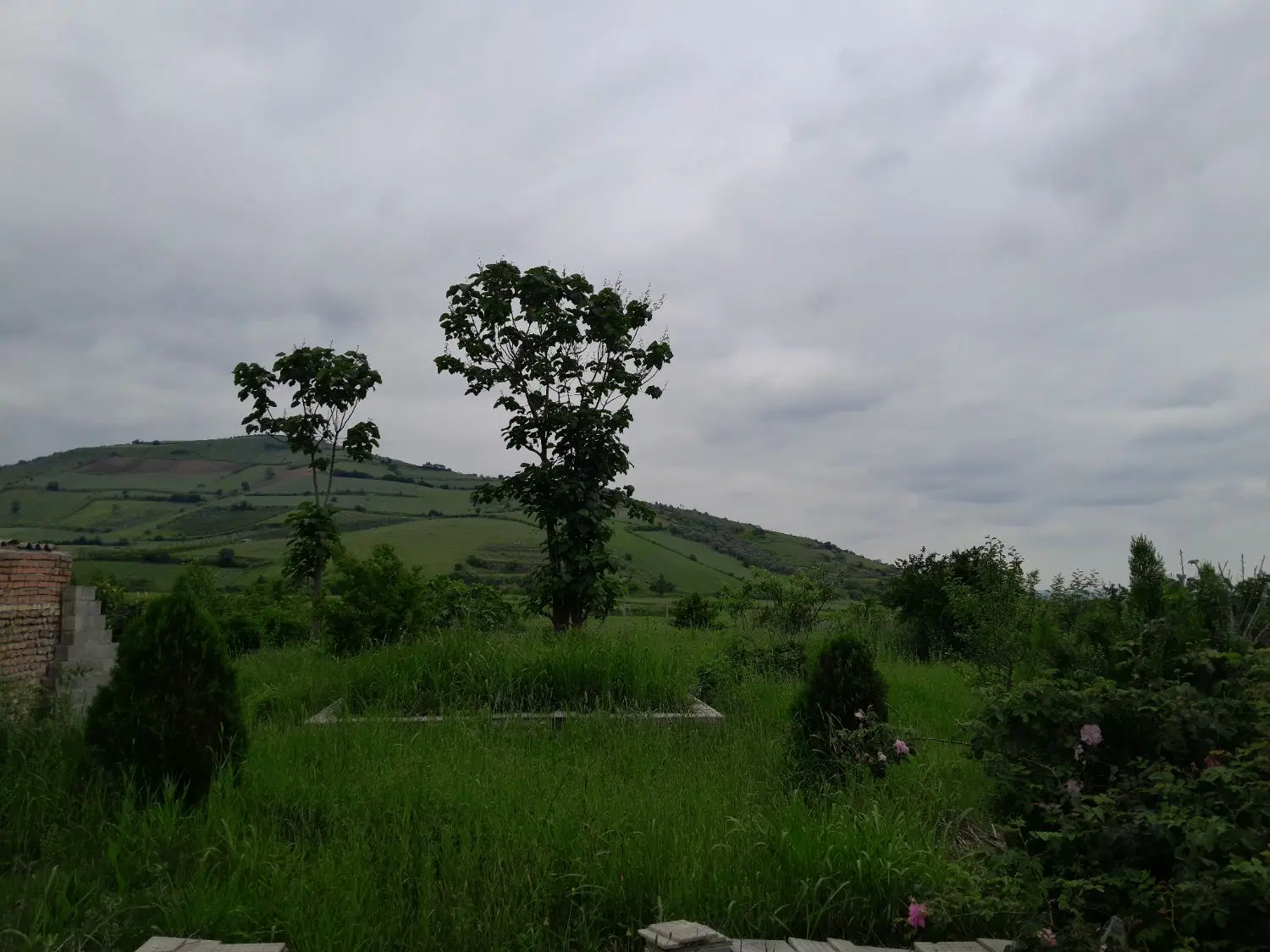 زمین باغی ۱۱۰۰متر سیدمیران
