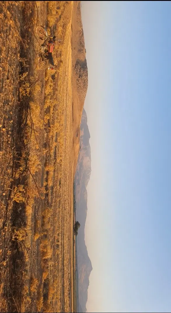 زمین کشاورزی اجاره